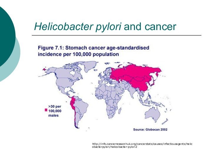 Helicobacter pylori and cancerhttp://info.cancerresearchuk.org/cancerstats/causes/infectiousagents/helicobacterpylori/helicobacter-pylori2
