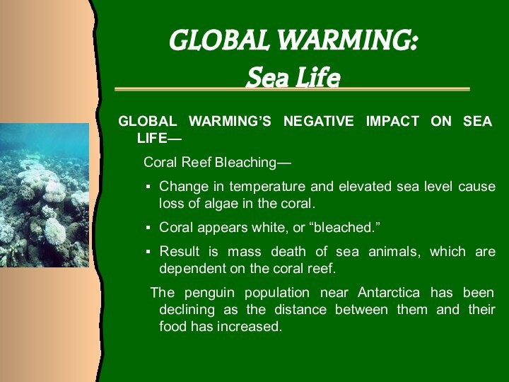 GLOBAL WARMING: Sea LifeGLOBAL WARMING’S NEGATIVE IMPACT ON SEA LIFE—Coral Reef Bleaching—
