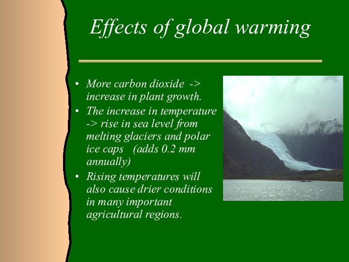 Effects of global warmingMore carbon dioxide ->  increase in plant growth.The