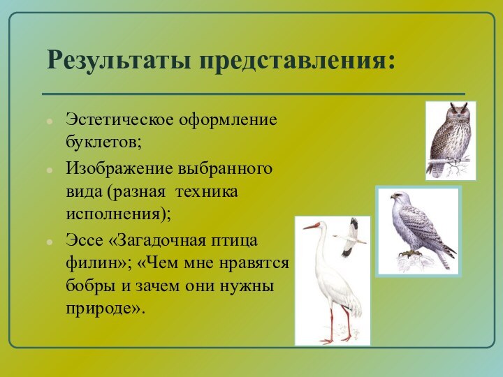 Результаты представления:Эстетическое оформление буклетов;Изображение выбранного вида (разная техника исполнения);Эссе «Загадочная птица филин»;