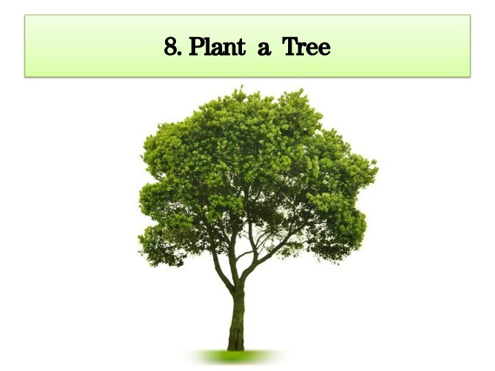 8. Plant a Tree