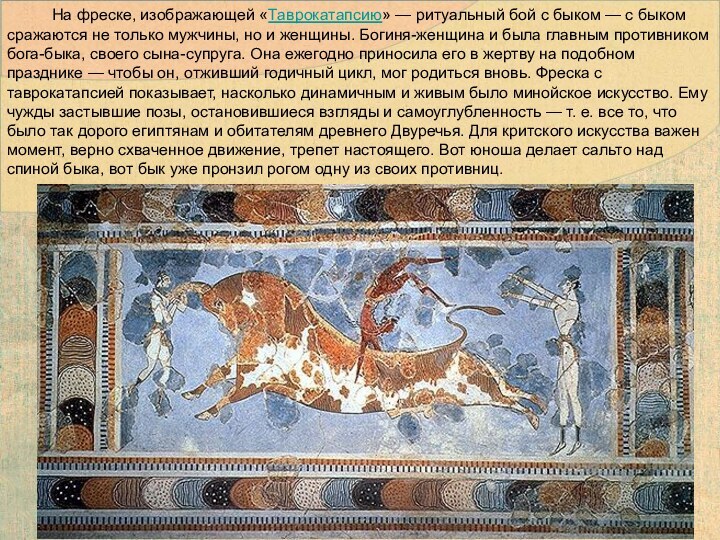          На фреске, изображающей «Таврокатапсию» — ритуальный бой с быком — с