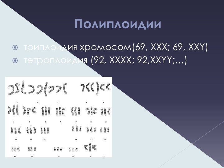 Полиплоидиитриплоидия хромосом(69, XXX; 69, XXY)тетраплоидия (92, XXXX; 92,XXYY;…)