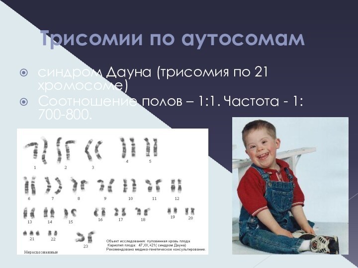 Трисомии по аутосомамсиндром Дауна (трисомия по 21 хромосоме)Соотношение полов – 1:1. Частота - 1: 700-800.