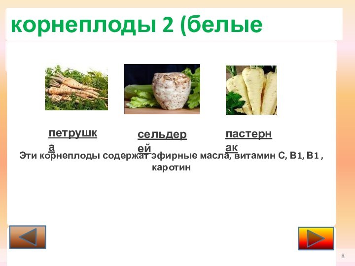 корнеплоды 2 (белые коренья)Эти корнеплоды содержат эфирные масла, витамин С, В1, В1 , каротин петрушкасельдерейпастернак