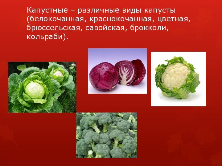 Капустные – различные виды капусты (белокочанная, краснокочанная, цветная, брюссельская, савойская, брокколи, кольраби).