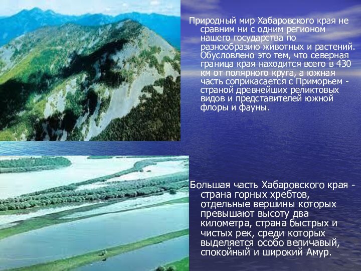 Природный мир Хабаровского края не сравним ни с одним регионом нашего