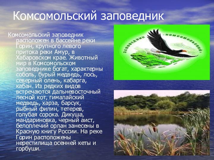 Комсомольский заповедник Комсомольский заповедник расположен в бассейне реки Горин, крупного левого притока