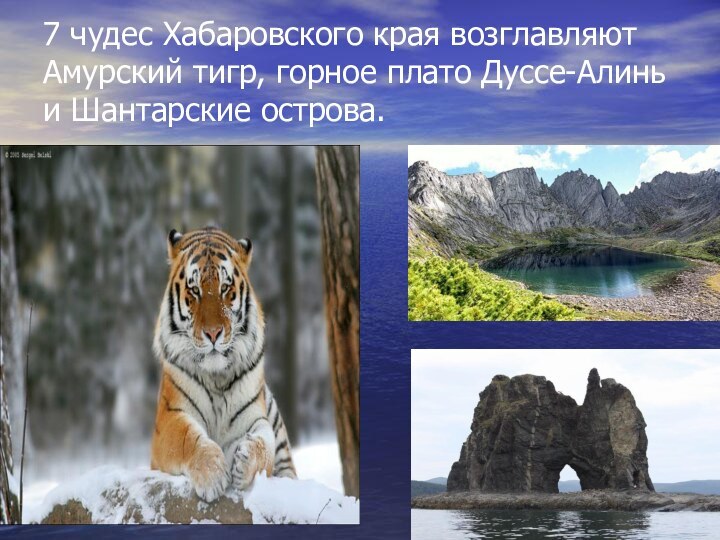 7 чудес Хабаровского края возглавляют Амурский тигр, горное плато Дуссе-Алинь и Шантарские острова.