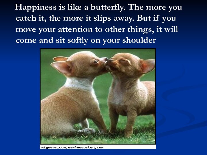 Happiness is like a butterfly. The more you catch it,