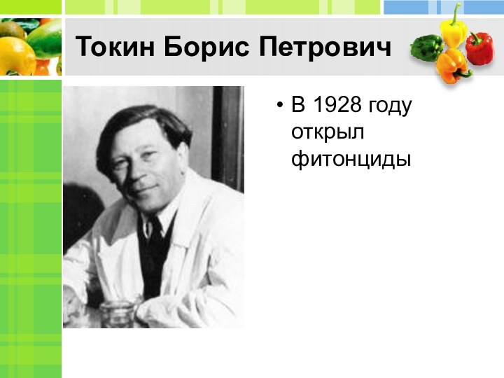 Токин Борис ПетровичВ 1928 году открыл фитонциды