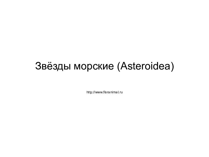 Звёзды морские (Asteroidea)http://www.floranimal.ru