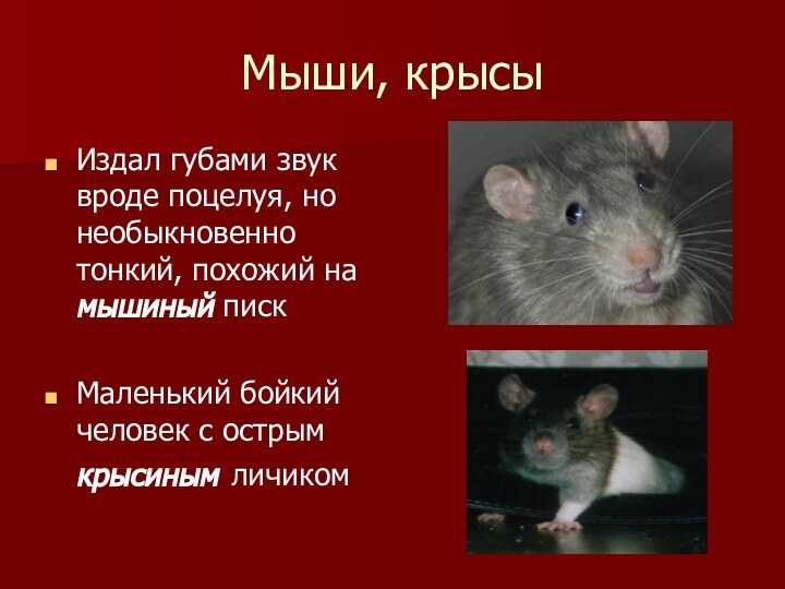 Мыши, крысыИздал губами звук вроде поцелуя, но необыкновенно тонкий, похожий на мышиный