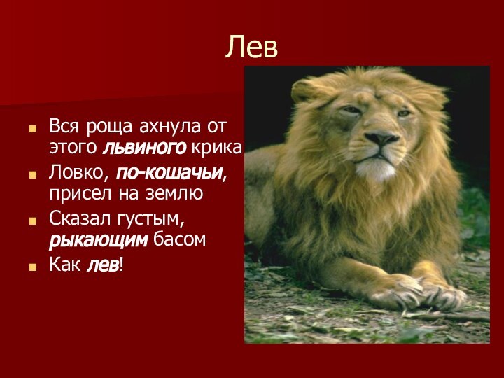 Лев Вся роща ахнула от этого львиного крика Ловко, по-кошачьи, присел на