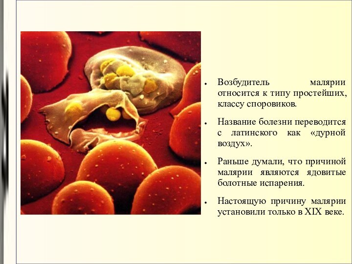Возбудитель малярии относится к типу простейших, классу споровиков.Название болезни переводится с латинского
