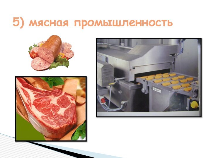 5) мясная промышленность