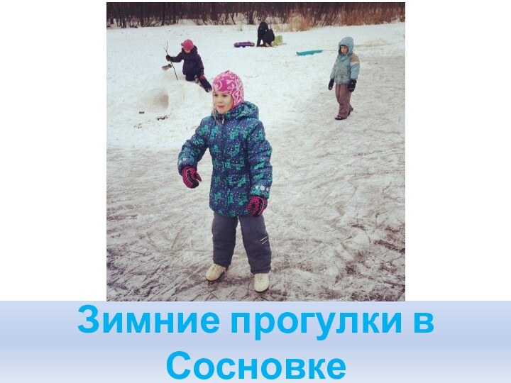 Зимние прогулки в Сосновке