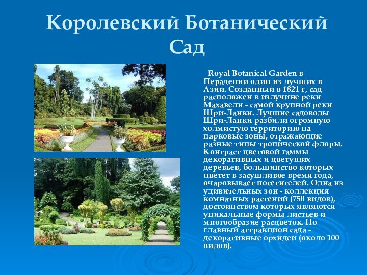 Королевский Ботанический Сад 	Royal Botanical Garden в Перадении один из лучших в