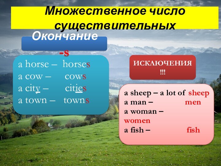 Множественное число существительныхa horse – horses a cow –   cowsa