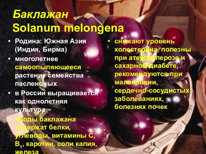 Баклажан  Solanum melongenaРодина: Южная Азия (Индия, Бирма) многолетнее самоопыляющееся растение семейства