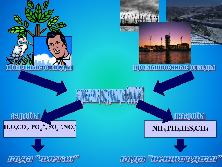 обычные отходы промышленные отходы загрязнения, содержащие C,H,N,O,P,S аэробы анаэробы H2O,CO2, PO43-, SO42-,NO3-NH4,PH3,H2S,CH4вода 
