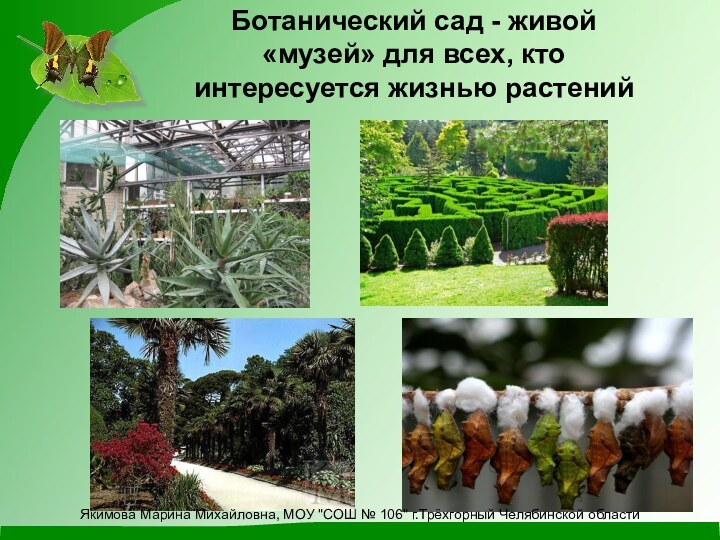 Ботанический сад - живой «музей» для всех, кто интересуется жизнью растений Якимова