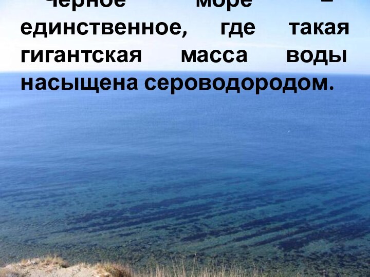 Черное море – единственное, где такая гигантская масса воды насыщена сероводородом.