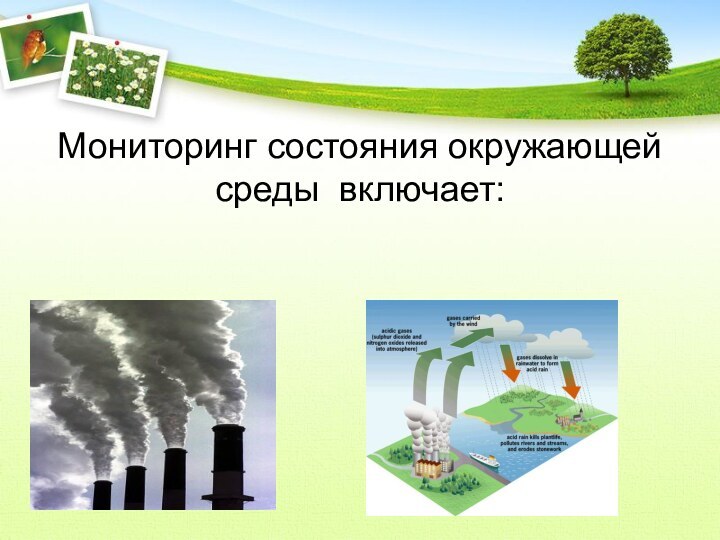 Мониторинг состояния окружающей среды включает: