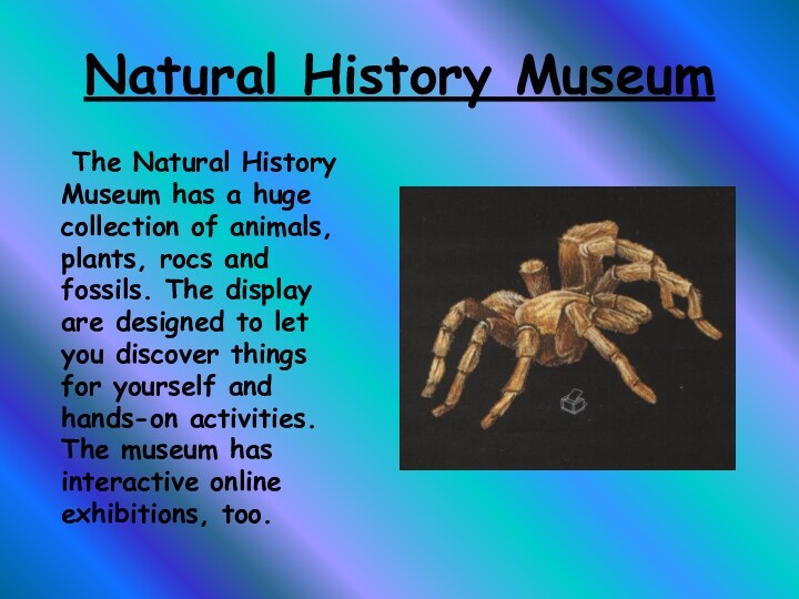 Natural History Museum The Natural History Museum has a huge collection of