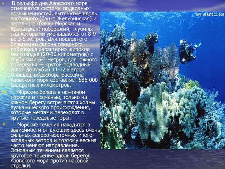 В рельефе дна Азовского моря отмечаются системы подводных возвышенностей, вытянутые вдоль