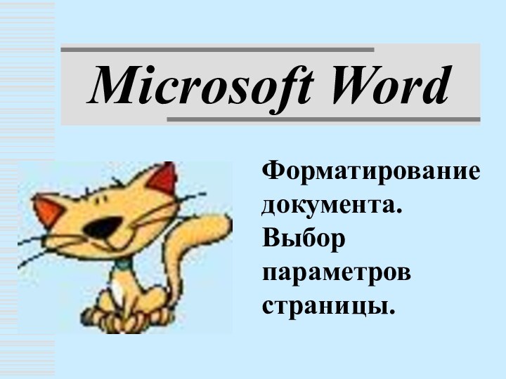 Microsoft WordФорматирование документа. Выбор параметров страницы.