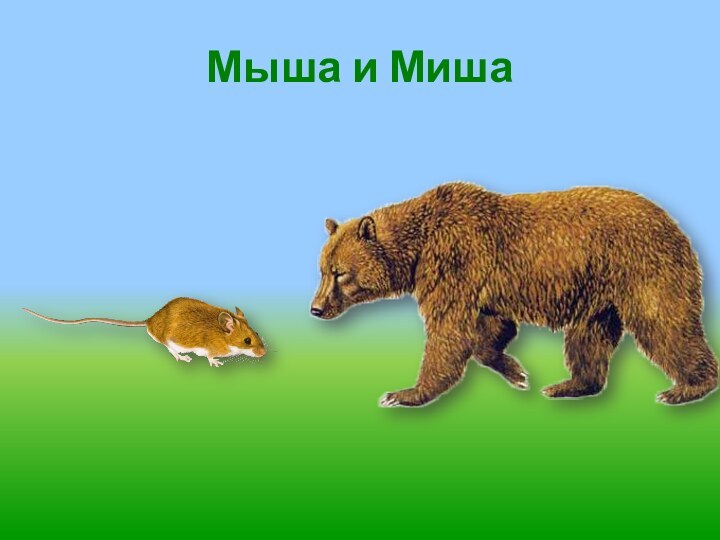 Мыша и Миша