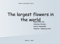 The largest flowers in the world