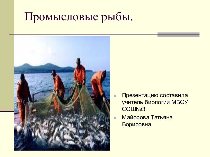 Промысловые рыбы.Презентацию составила учитель биологии МБОУ СОШ№3 Майорова Татьяна Борисовна