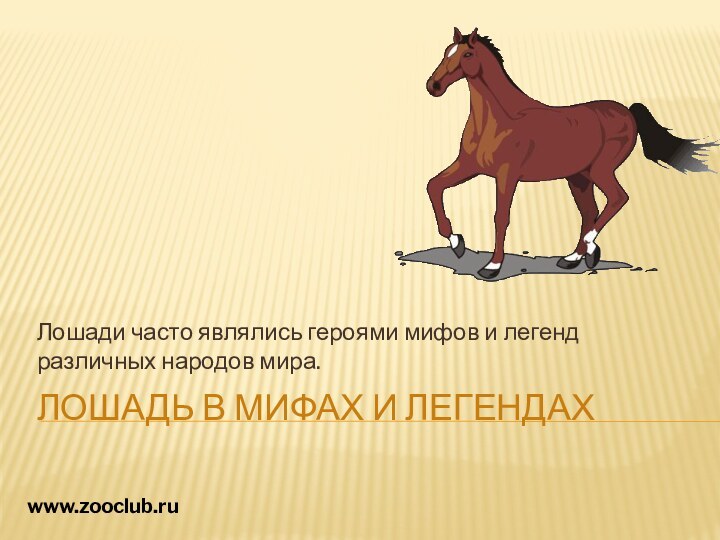 Лошадь в мифах и легендахЛошади часто являлись героями мифов и легенд различных народов мира. www.zooclub.ru