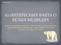 интересные_факты_о_белых_медведях_62
