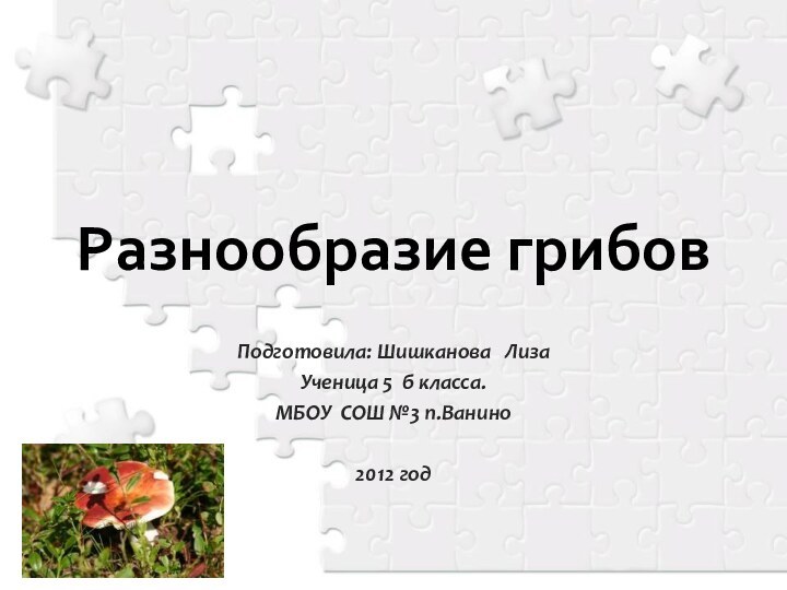 Разнообразие грибовПодготовила: Шишканова  ЛизаУченица 5 б класса.МБОУ СОШ №3 п.Ванино2012 год
