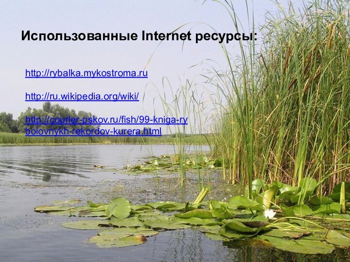 Мир вокруг нас 4 классhttp://rybalka.mykostroma.ruhttp://ru.wikipedia.org/wiki/http://courier-pskov.ru/fish/99-kniga-rybolovnykh-rekordov-kurera.htmlИспользованные Internet ресурсы: