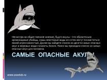 самые опасные акулы