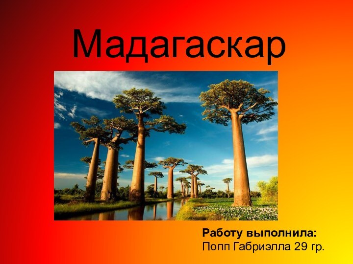 МадагаскарРаботу выполнила: Попп Габриэлла 29 гр.