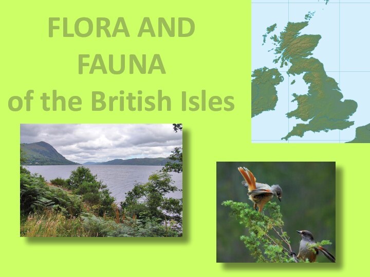 FLORA AND FAUNAof the British Isles