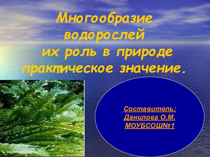 Многообразие водорослей  их роль в природе практическое значение.Составитель: Данилова О.М.МОУБСОШ№1