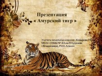 Презентация к уроку окружающего мира Амурский тигр