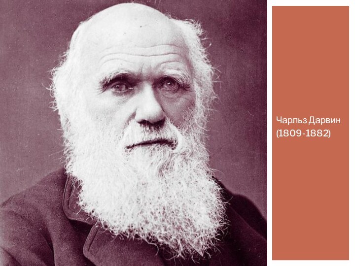 Чарльз Дарвин(1809-1882) Чарльз дарвин