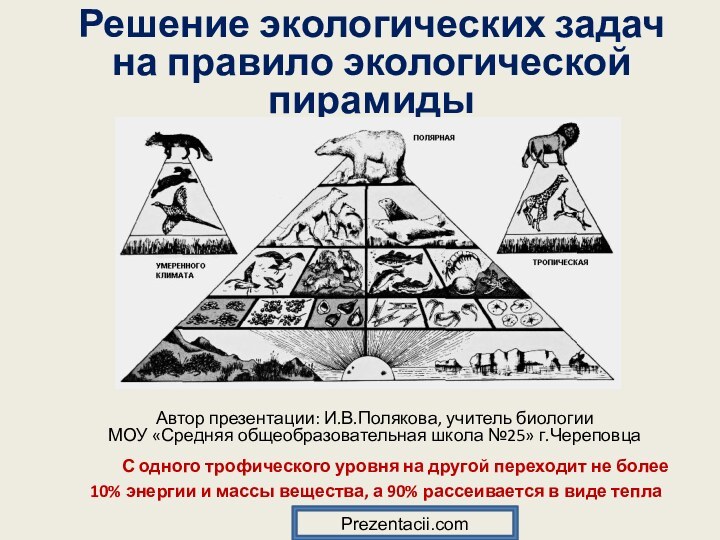 Решение экологических задач на правило экологической пирамидыАвтор презентации: И.В.Полякова, учитель биологии