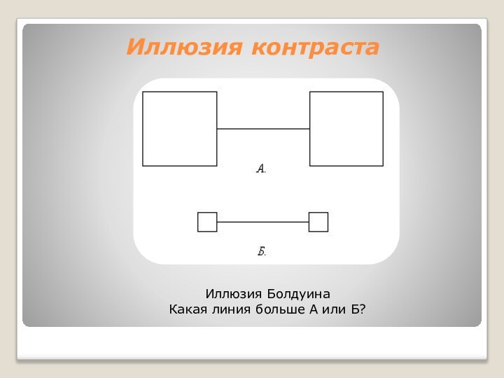Иллюзия контраста Иллюзия Болдуина Какая линия больше А или Б?