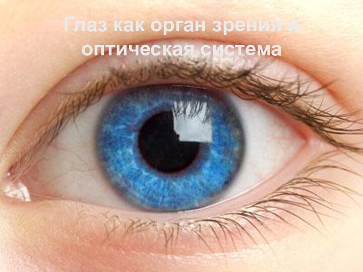 Глаз как орган зрения и оптическая системаГлаз как орган зрения и оптическая система