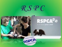 Экологическая организация RSPCA