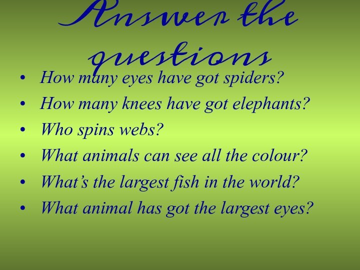 Answer the questionsHow many eyes have got spiders?How many knees have got