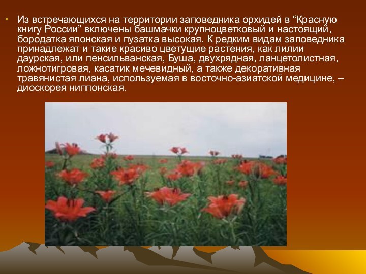 Из встречающихся на территории заповедника орхидей в “Красную книгу России” включены башмачки